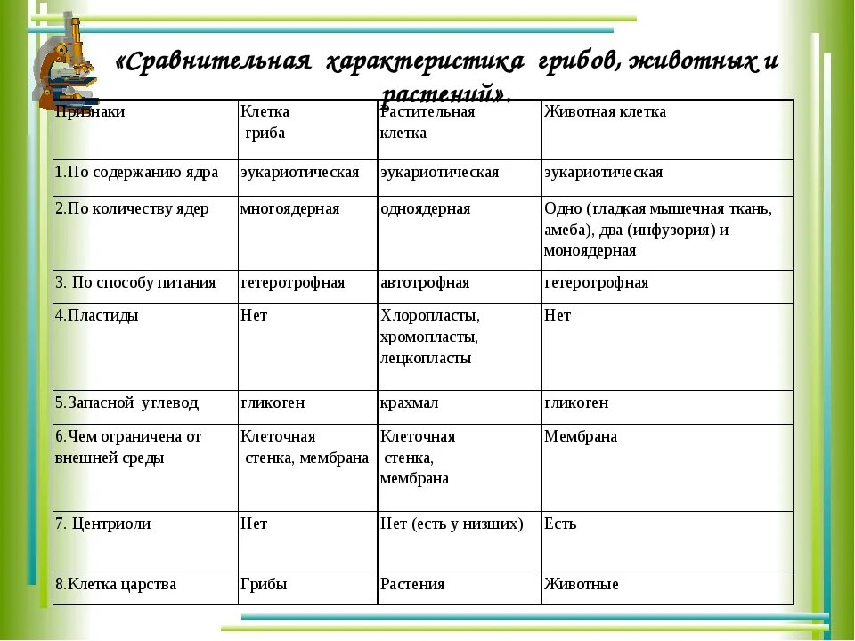 Сравнение бактерий грибов и растений. Строение клеток растений животных грибов и бактерий таблица. Таблица клетки животных характеристика строение. Сравнение клеток грибов растений и животных таблица. Сравнительная характеристика грибов растений и животных таблица.