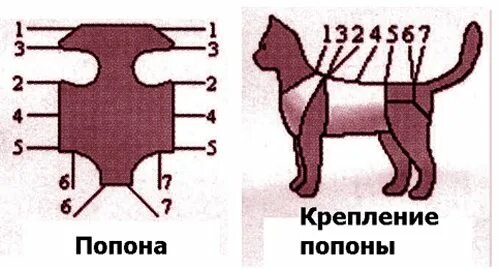 Через сколько дней можно снять попону. Как одевать попор кошке. схема завязки попоны. как надеть попону кошке после стерилизации. как правильно завязать попону на кошке после стерилизации схема.