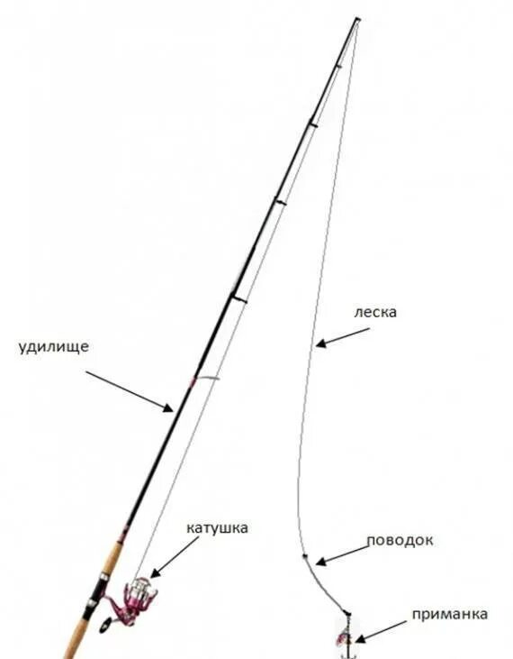 Правильная оснастка спиннинга схема. Схема оснастки спиннинга. Схема сборки спиннинга для ловли на Воблер. Спиннинг с блесной схема.