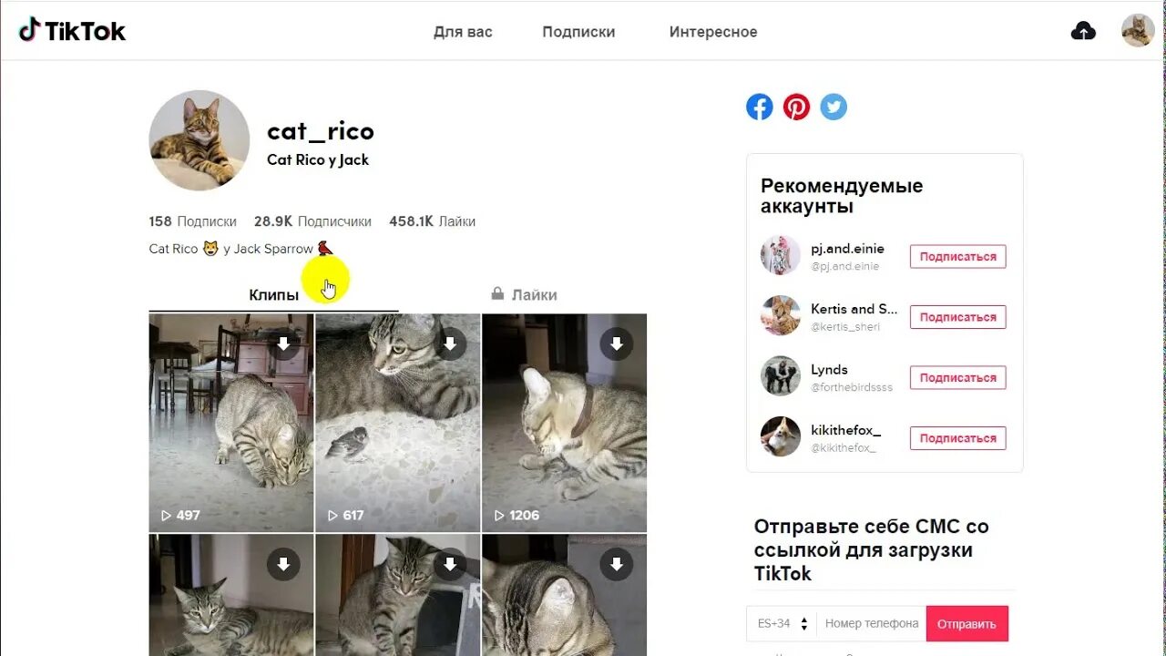 Как убрать теневой бан в тик ток. Как выглядит теневой бан в тик токе. Теневой бан тик ток как понять. Теневой бан тик ток как понять. Что такое теневой бан в тик ток.