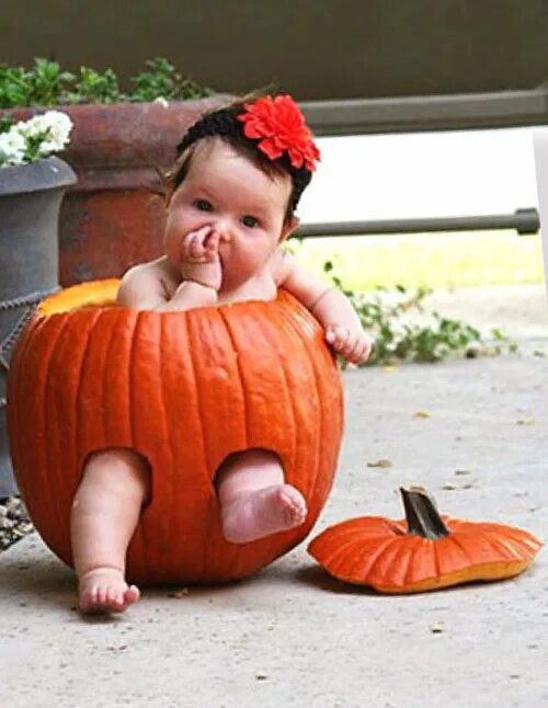 Тыква для детей. Фотосессия малыша с тыквой. Младенец из тыквы. Пампкин бэби. Фотосессия с тыквой ребенок.