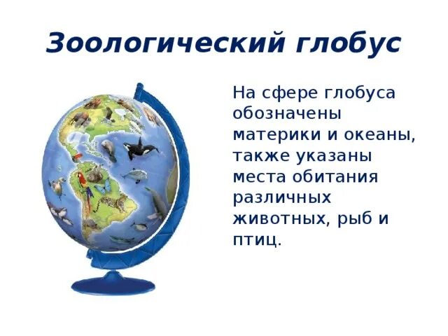 Какие бывают Глобусы. Описание глобуса. Зоологический Глобус описание. Глобус для презентации.