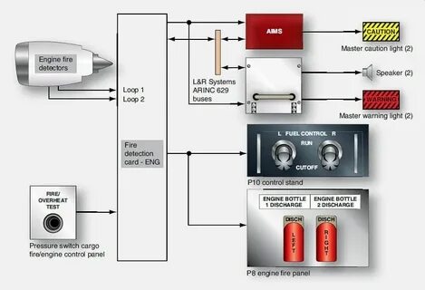 Detection system