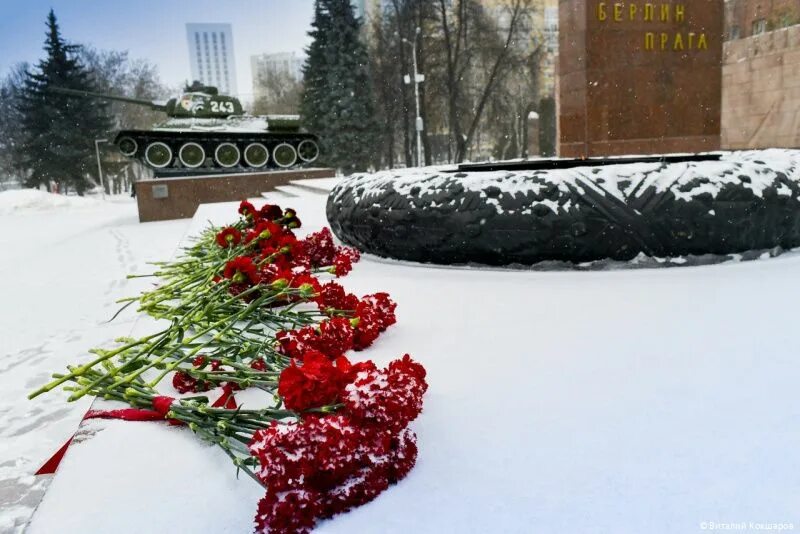 Февраль вов