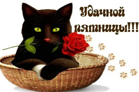 Хорошего пятничного настроения