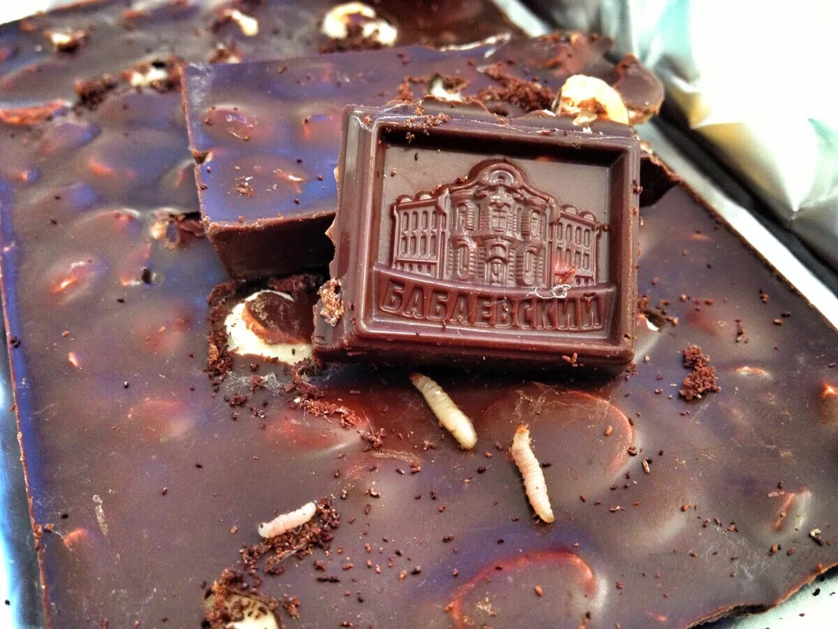 шоколадные конфеты с червями. черви в шоколадных конфетах. черви в шоколадных конфетах. черви в шоколадных конфетах. черви в шоколадных конфетах.