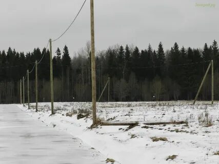 Новой буре