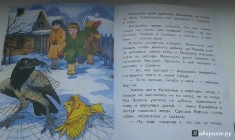 Сказка про воронушку и желтую канарейку