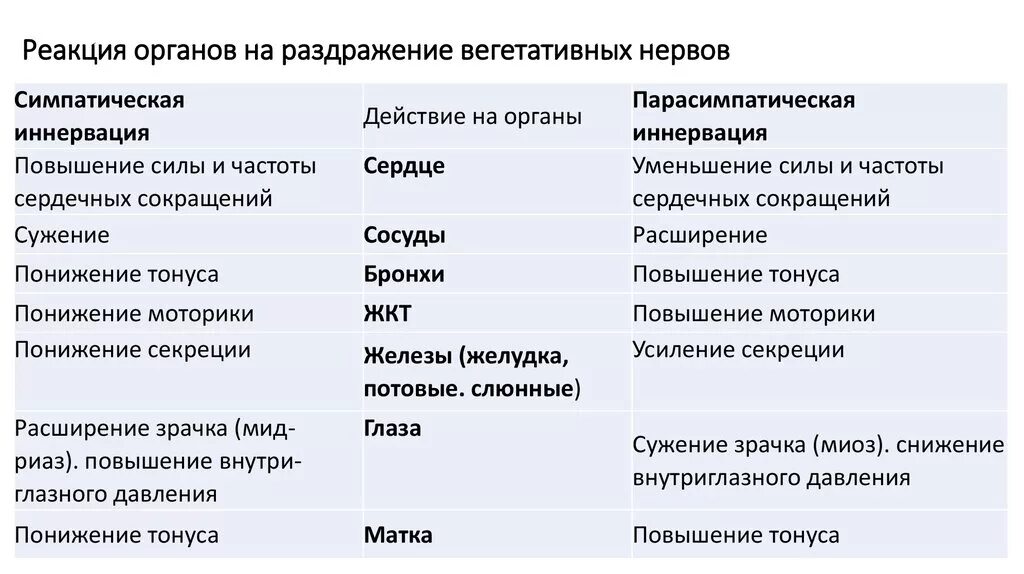 При раздражении симпатических нервов