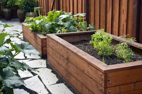 Raised bed revolution