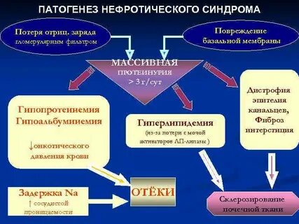 Нефритический синдром патогенез