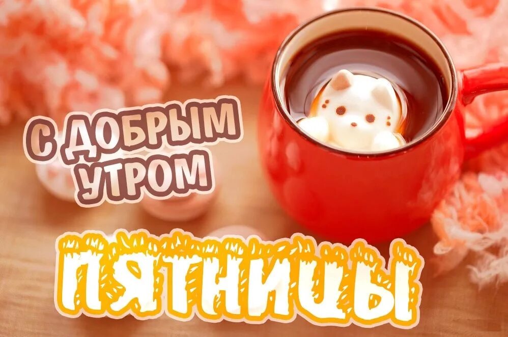 Мудрое утро пятница. Доброе утро пятницы. доброе утро пятницы прикольные. доброе утро пяяяятницы. открытки с добрым утром пятницы позитивные.