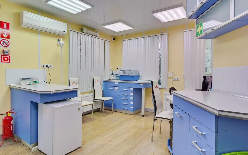 белый клык митино. белый клык ветеринарная клиника. ветклиника белый клык калининград. ветеринарная клиника белый клык калининград. белый клык ветклиника митино.