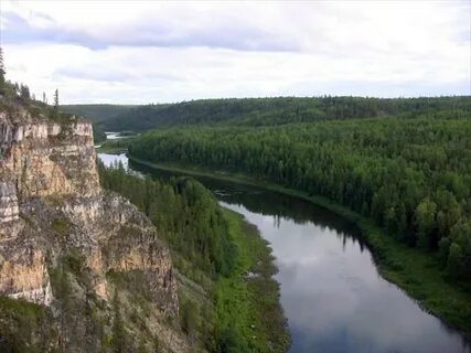 Тиманский