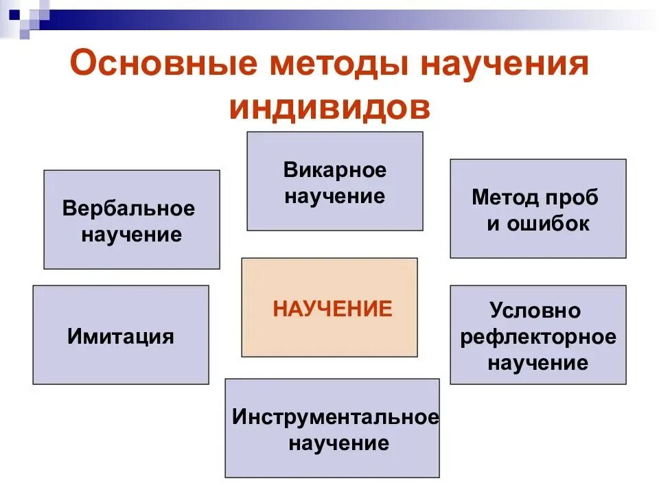 Научение подходы. Методы научения. Вербальное научение пример. Виды научения. Методы оперантного научения.