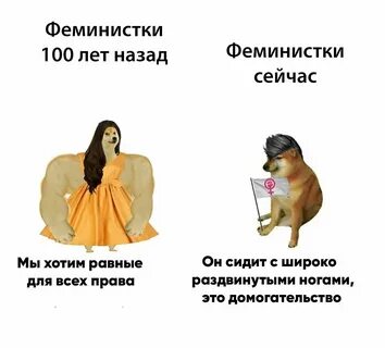 Шутки про феминисток