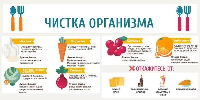 Как прочистить организм. Продукты для выведения токсинов. Как очистить организм. Как вывести токсины из организма. Выведение токсинов из организма.