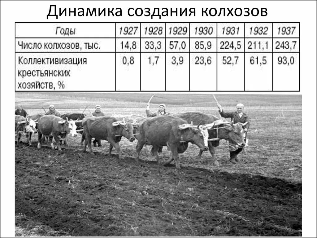 Колхоз расшифровка. Год появления колхозов. создание колхозов. сколько людей было в колхозах. повсеместное создание колхозов.