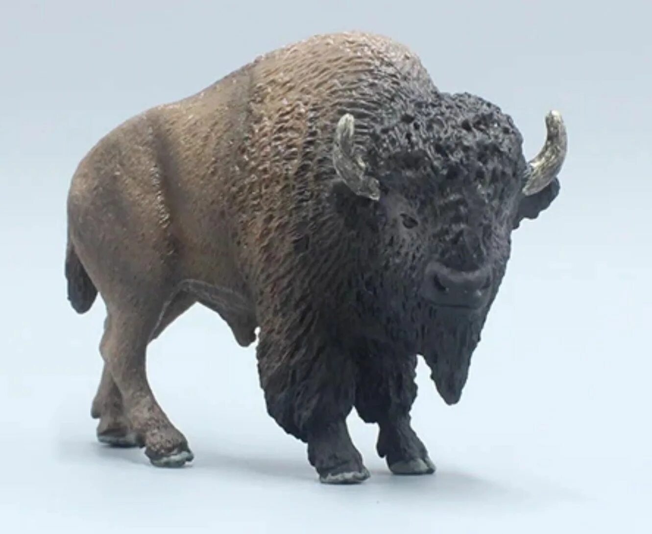 Зубр 3д. Зубр и бизон. Как выглядит зубр из цифрового. Зубр анатомия. Зубр карандашом.