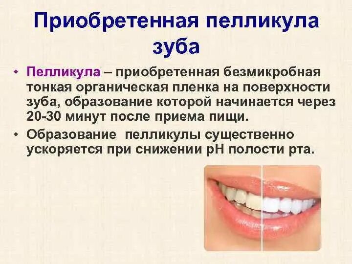 Значение зубного налета. Значение зубного налета