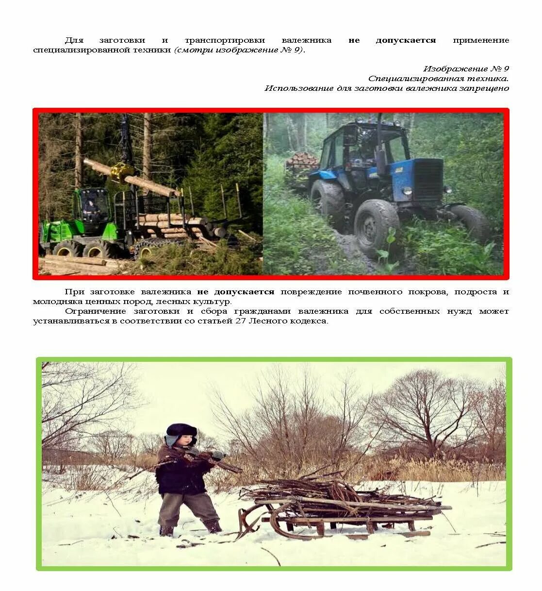 Какой валежник можно. Памятка для граждан по сбору валежника. памятка о сборе валежника. памятка по заготовке и сбору валежника. памятка для граждан по заготовке валежника.
