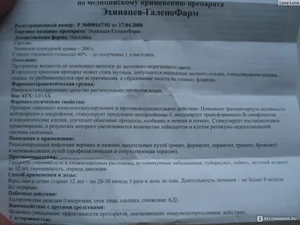 Эхинацея инструкция детям