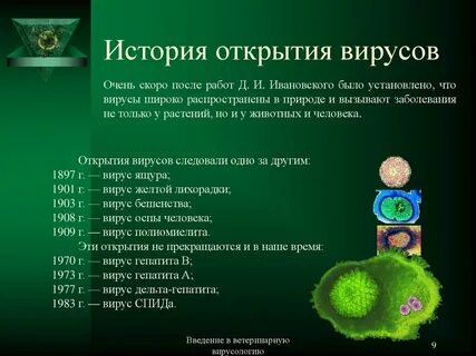 История вирусов биология