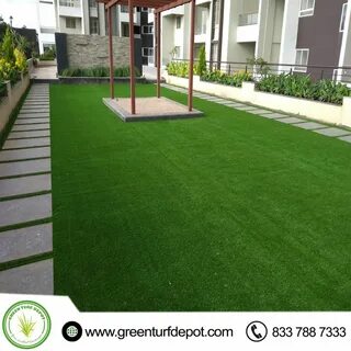 B grass