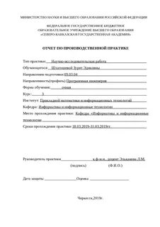 Образец заключения практики