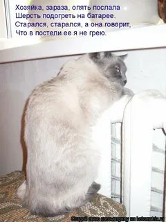 Опять отправила