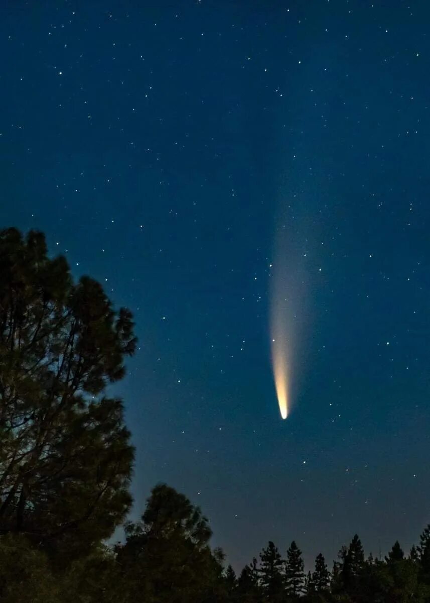 Комета в хабаровске сегодня. Новайс Комета. Крахта Комета. NEOWISE Комета 2022 снимки. Комета c/2023.