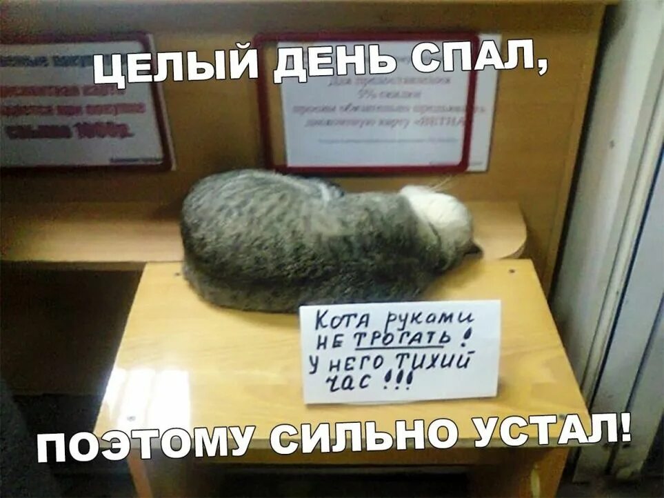 Тихий час прошел. Тихий час прошел