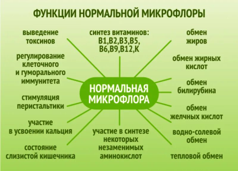 Состояние микрофлоры. Функции нормальной микрофлоры схема. Функции выполняемые нормальной микрофлорой кишечника. Схема нормальной микрофлоры человека. Состав микрофлоры кишечника и ее роль в организме.