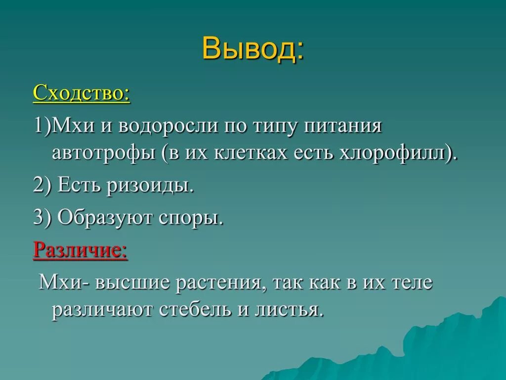 Сходство строения мха и строения водорослей. Мхи и водоросли сходства и различия. Сходство мхов и водорослей. Сходство и различие мхов. Строение мха и водоросли сходство и различия.