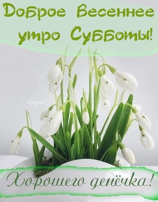 28 сентября суббота доброе утро. Открытки с добрым утром весенние. с добрым весенним утром. доброе весеннее утро.