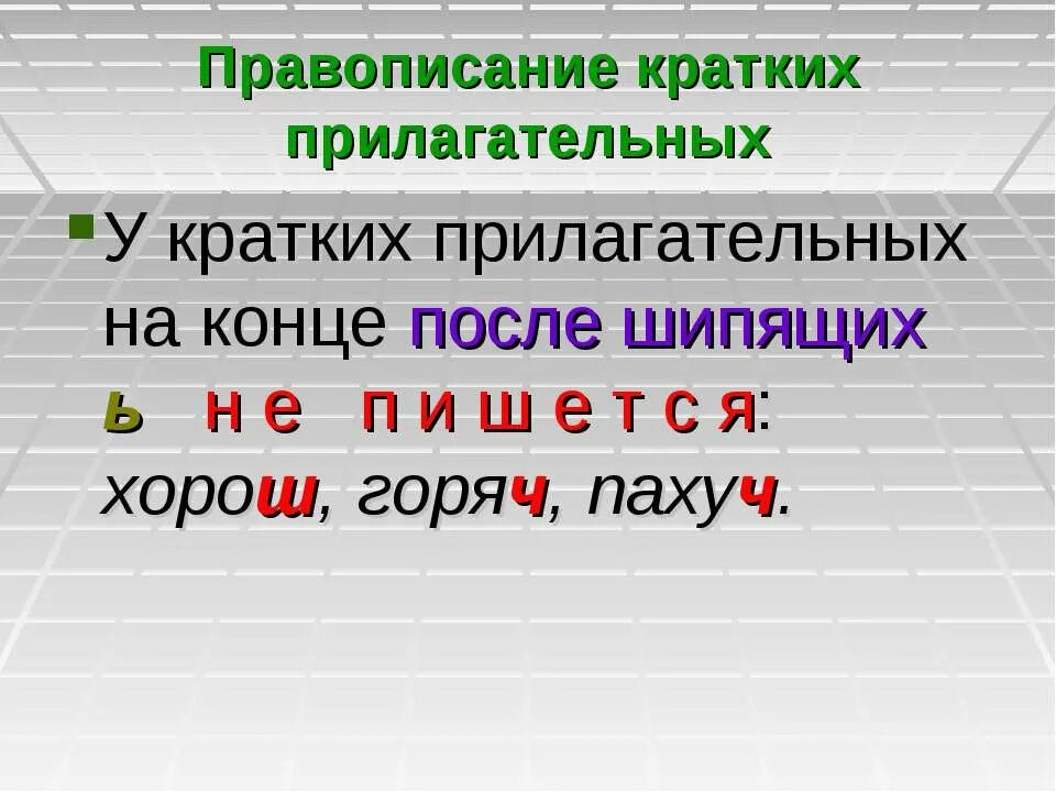 Краткие с основой на шипящую. Правописание шипящих на конце кратких прилагательных. Ь на конце прилагательных после шипящих. Ь на конце кратких прилагательных после шипящих. Правописание мягкого знака после шипящих на конце прилагательных.