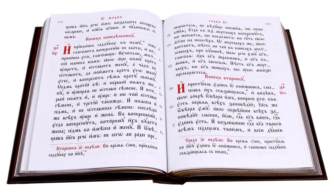 Псалтырь на церковнославянском читать. Евангелие на церковно-Славянском языке в переплёте. Евангелие на церковнославянском языке крупный шрифт. Церковнославянский язык Евангелие. Книги с крупным шрифтом.