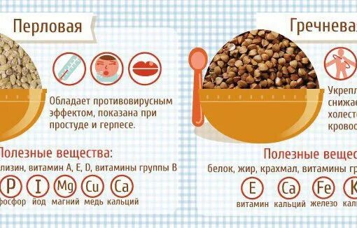 Гречка белок или углевод. Калорийность гречки и перловки. путеводитель по кашам. количество белков в гречневой каше. гречка калории.