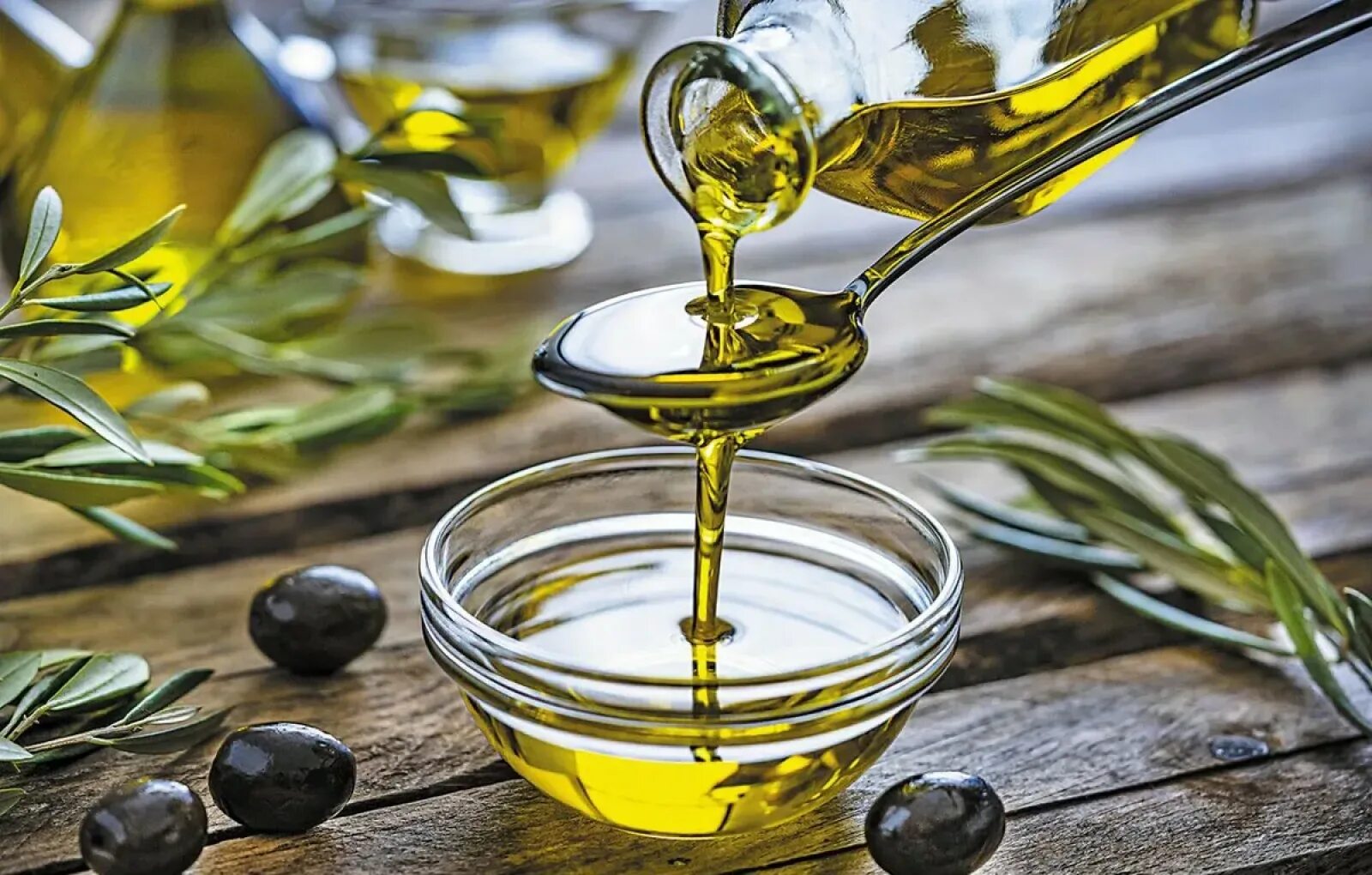 Оливковое масло характеристика. Olive Oil масло оливковое. Олив Ойл масло оливковое. Масло с оливковым маслом. Оливки и оливковое масло.