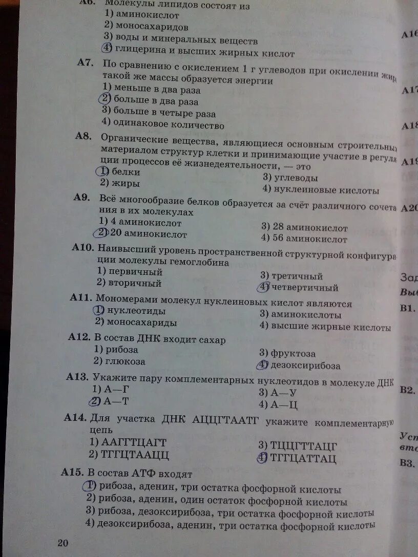 Ответы по биологии 9 пасечник. Тесты по биологии 9 класс с ответами Пасечник. Тесты по биологии 9 класс к учебнику Пасечника. Тесты по биологии Пасечник. Рабочая тетрадь тесты по биологии 9 класс Пасечник.