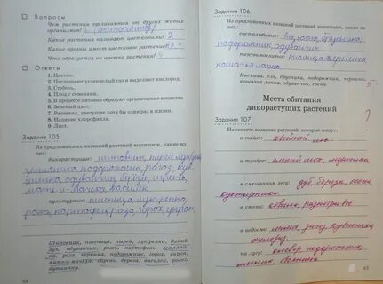 Естествознание ответы на вопросы