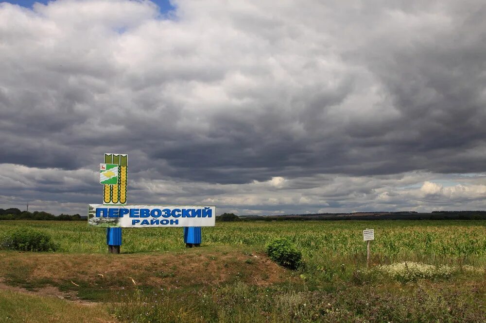 Город Перевоз Перевозский район. Перевозский Нижегородская область. Пьянский Перевоз Нижегородская область. Природа Перевозского района Нижегородской области.