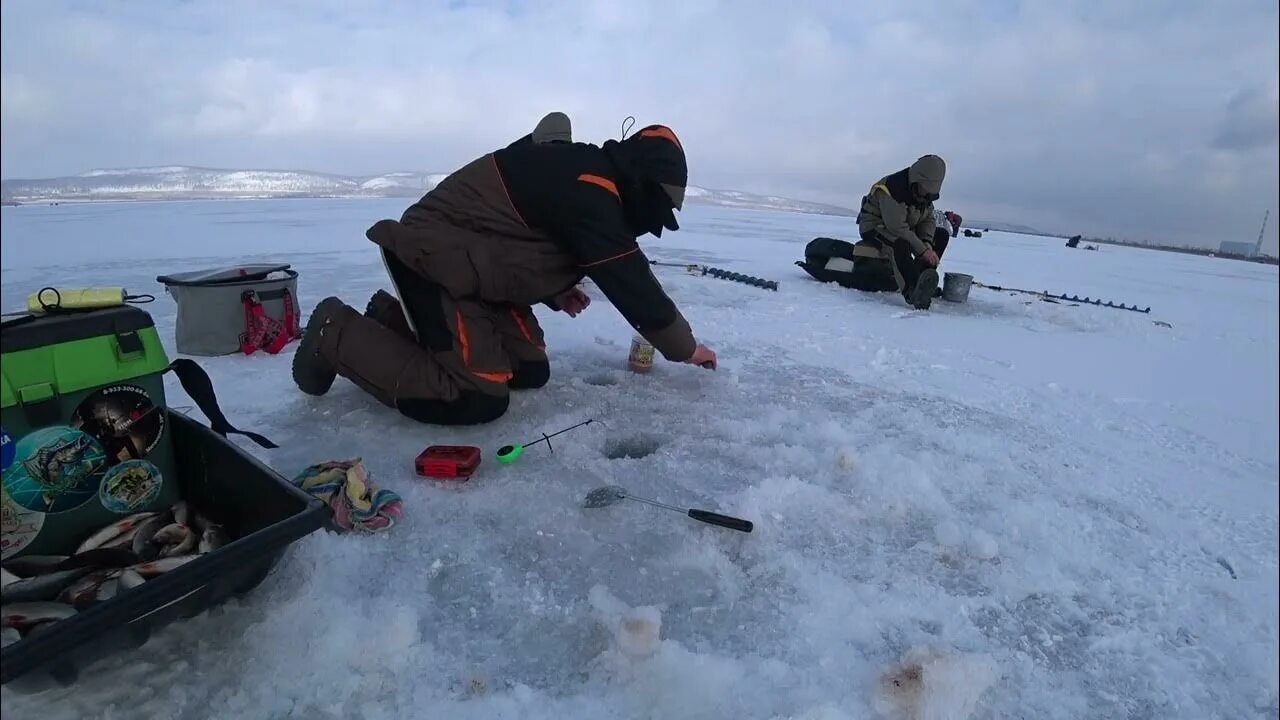 Рыбалка шарыпова. Рыбалка в шарыпово. рыбалка в апреле. ихтиофауны водохранилищ. озеро бол. куркисуо.