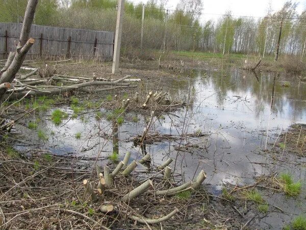 И воды зайдут низинами. Подтапливает участок весной. Затопление участка весной. Весной затопило участок. Топит участок.