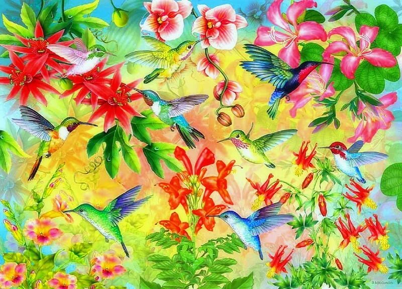 Паттерны Колибри. Колибри рисунок. Фон с цветами и птицами. Паттерн цветы и птицы.