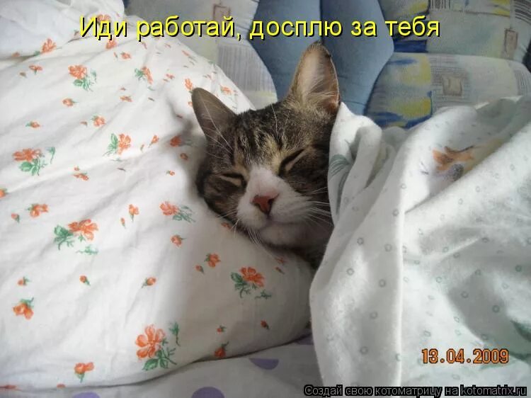 Утром пойдешь. Доброе утро ямеще сплю. Кошки идут спать. Пора спать с котом. Спящий котик с надписью.