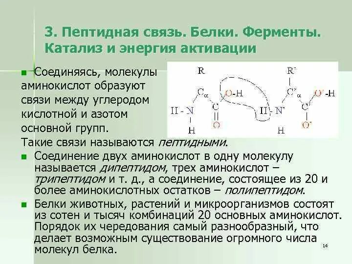 Виды связей в белке. Типы связей в молекуле белка. Связи между аминокислотами. Типы связей между аминокислотами в белках. Пептидная группа атомов