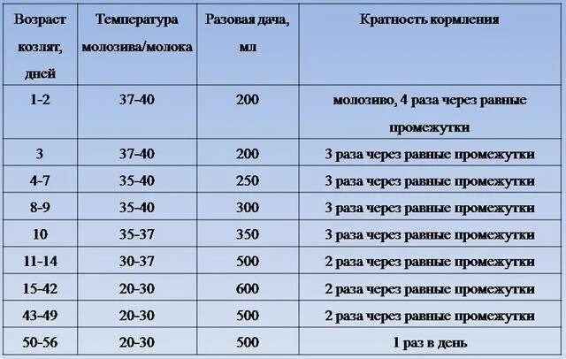 Сколько ягненок надо молока. Норма выпойки козлят таблица. Схема выпойки новорожденных козлят. Таблица кормления новорожденного козленка. Нормы кормления козлят.