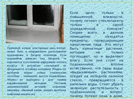 Потеет окно в доме причины