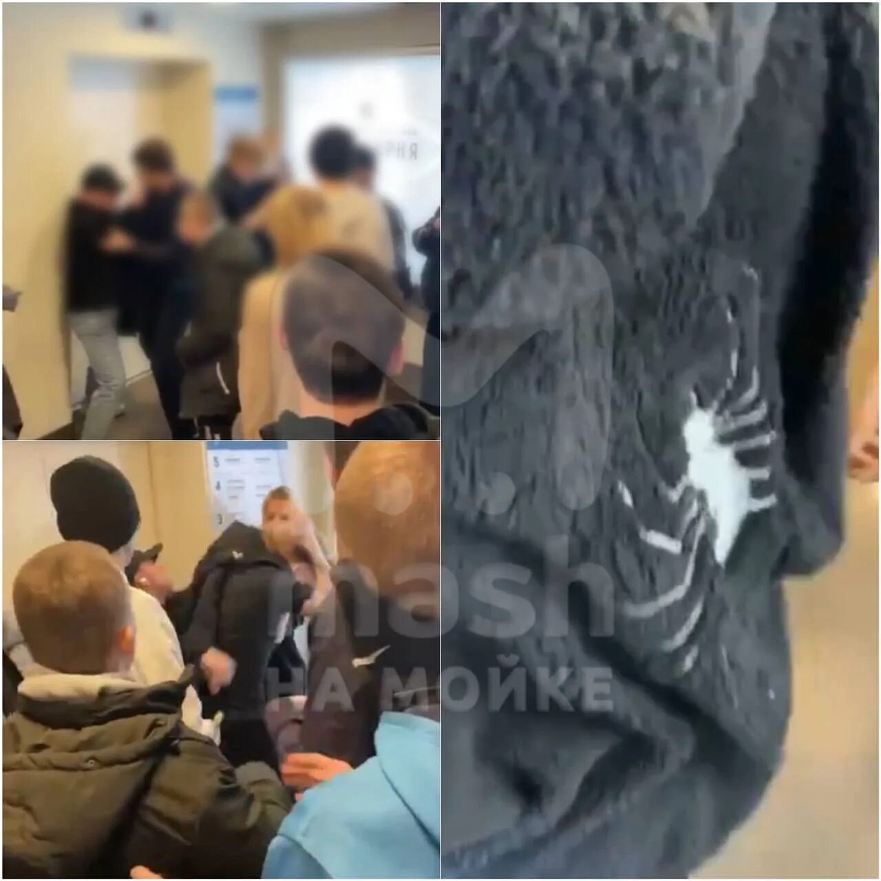 Девушку из чвк редан по кругу
